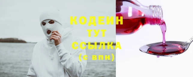 индика Покров