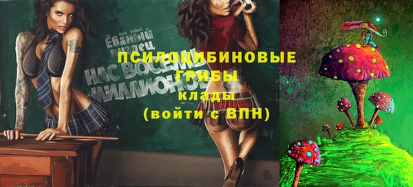 тгк Покачи