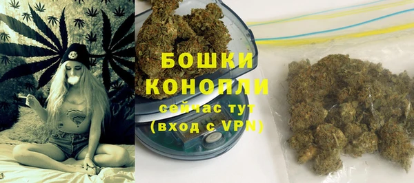 индика Покров