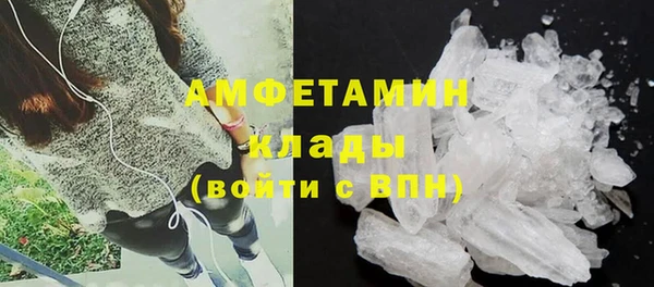 индика Покров