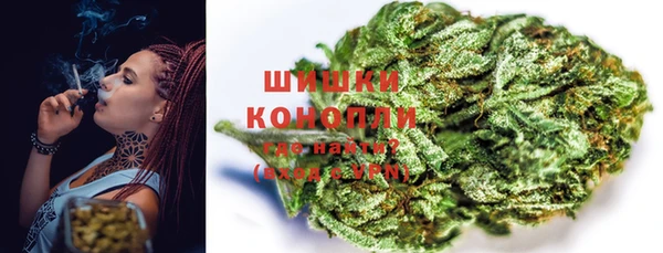 PSILOCYBIN Покровск