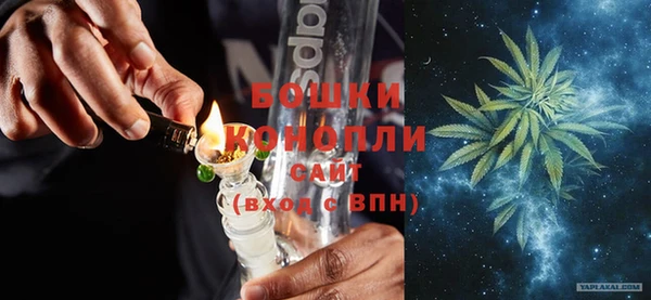 индика Покров